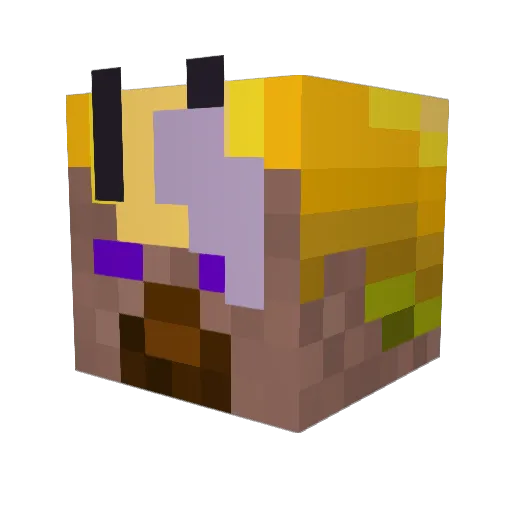 Boia_oscuro Minecraft avatar head, 3D render