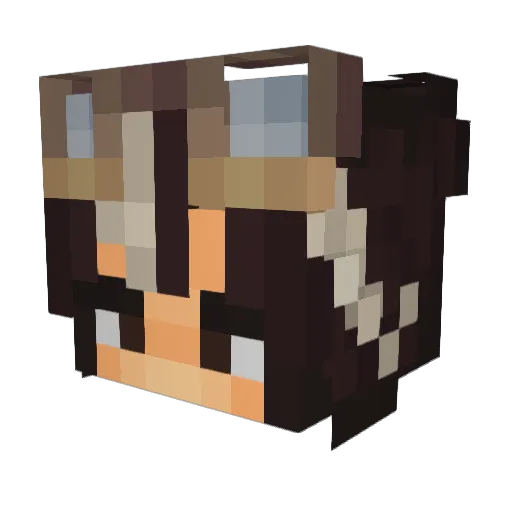 Boiby Minecraft avatar head, 3D render
