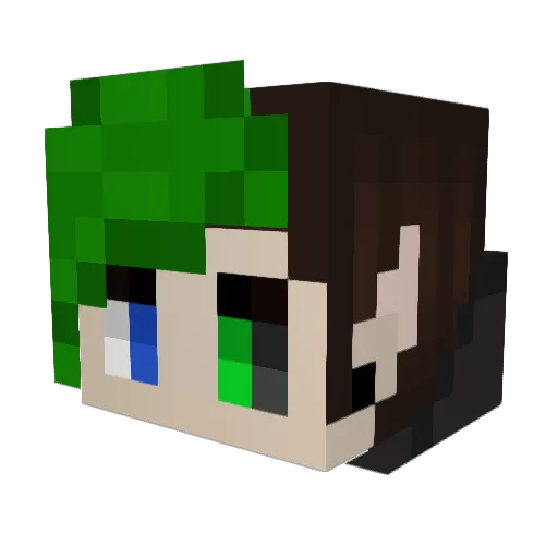 Boigi1 Minecraft avatar head, 3D render