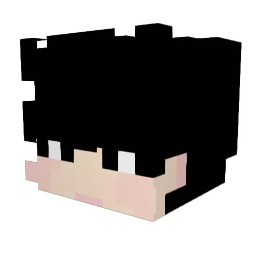 Boiled_sorage Minecraft avatar head, 3D render