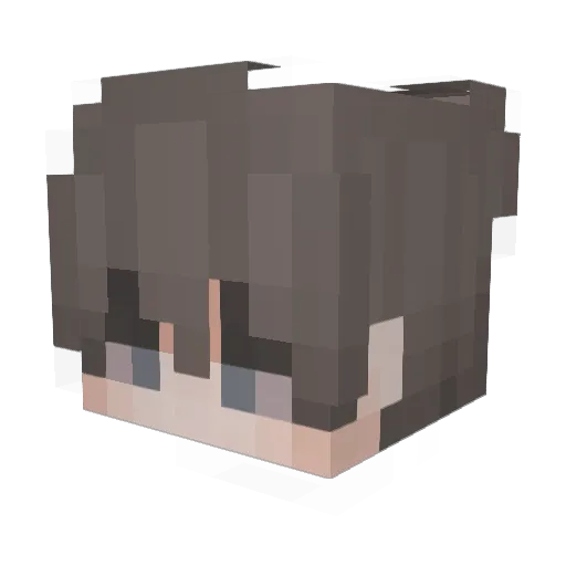 Boimm20 Minecraft avatar head, 3D render