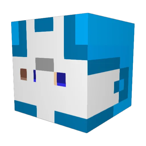 Boinga15 Minecraft avatar head, 3D render