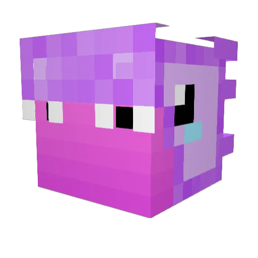 BoinkMC Minecraft avatar head, 3D render