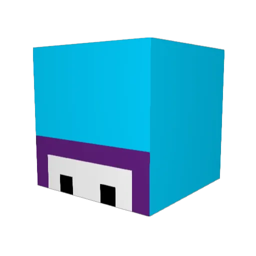 Boins Minecraft avatar head, 3D render