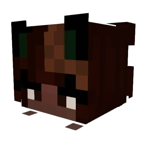 Boisyuck Minecraft avatar head, 3D render