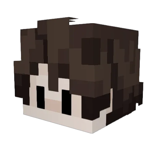 BojangleHR Minecraft avatar head, 3D render