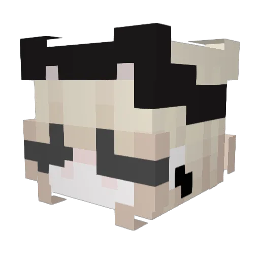 Bojas__ Minecraft avatar head, 3D render