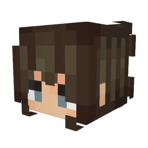 Bojenka Minecraft avatar head, 3D render