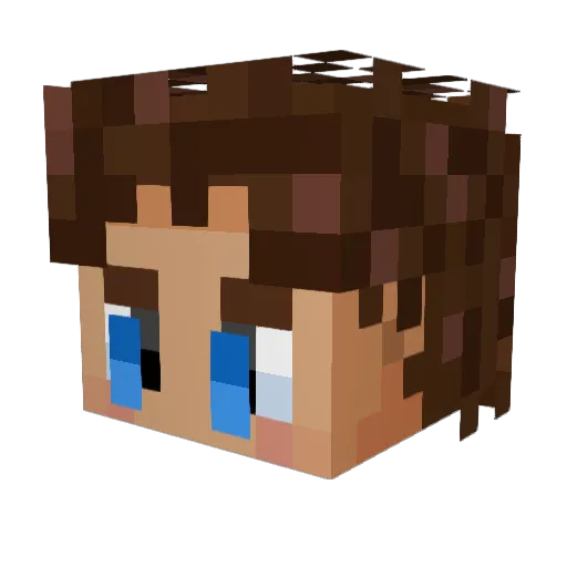 Bojjemboom Minecraft avatar head, 3D render