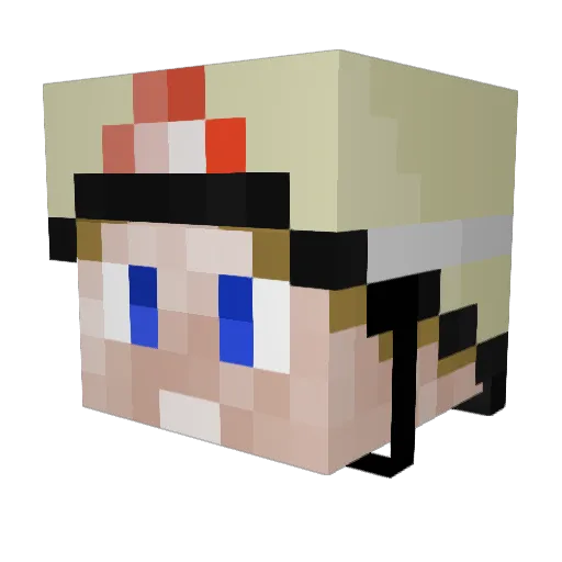 BokFoSchlitz Minecraft avatar head, 3D render