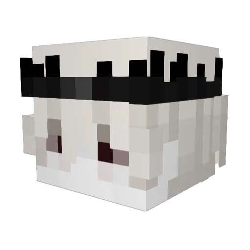 Bokaay Minecraft avatar head, 3D render