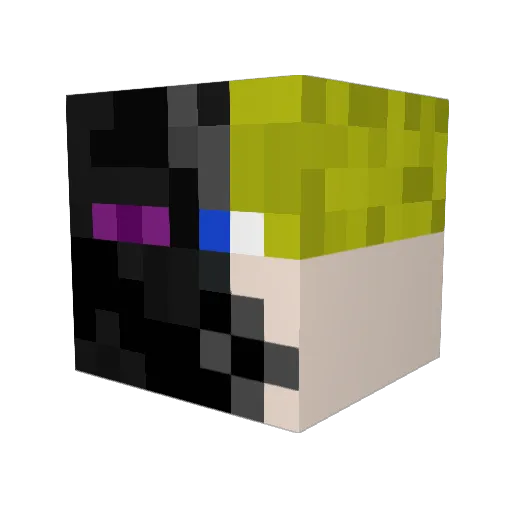 Bokaj1001 Minecraft avatar head, 3D render