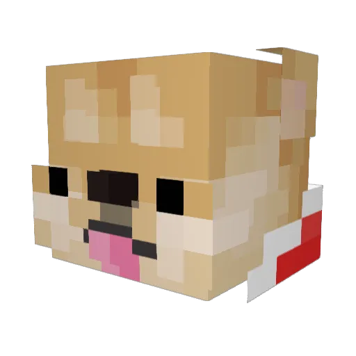 Bokay1212 Minecraft avatar head, 3D render