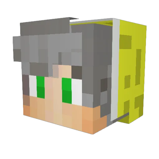 Bokebiker100 Minecraft avatar head, 3D render