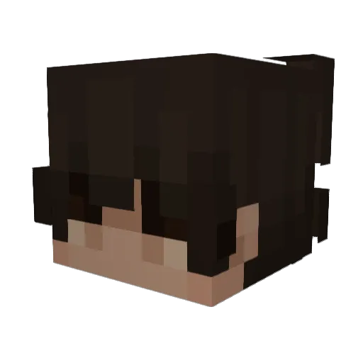 Bokehs Minecraft avatar head, 3D render