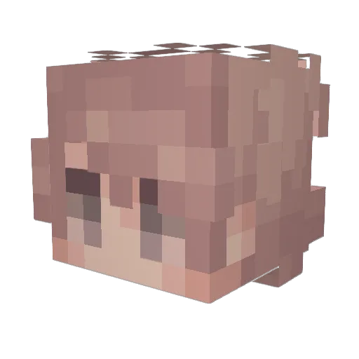 Bokenawa Minecraft avatar head, 3D render
