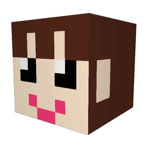 Bokja1005 Minecraft avatar head, 3D render