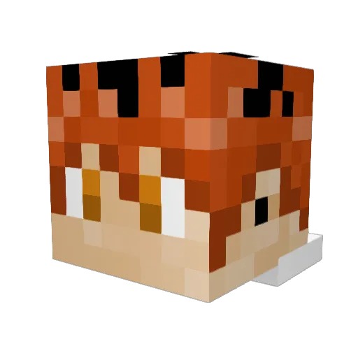 Bokski Minecraft avatar head, 3D render