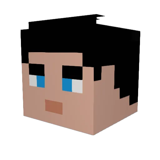 Bokwetlikebook82 Minecraft avatar head, 3D render