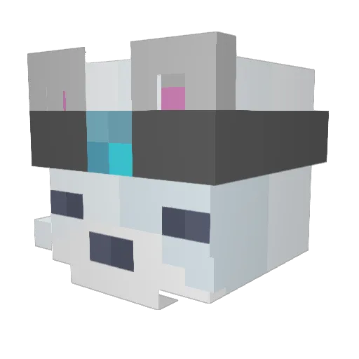 BokySnoky Minecraft avatar head, 3D render