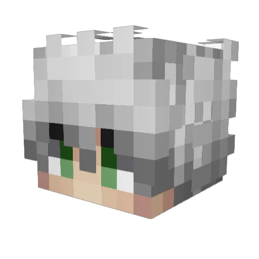 Bokyi Minecraft avatar head, 3D render