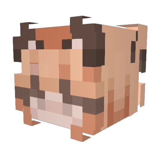 Bola899 Minecraft avatar head, 3D render