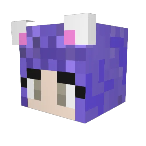 BolaHAHA Minecraft avatar head, 3D render