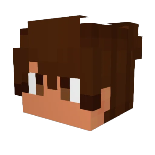 Bolachacinza Minecraft avatar head, 3D render