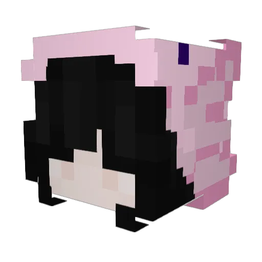 Bolaith Minecraft avatar head, 3D render