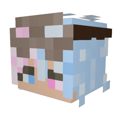 Bold487 Minecraft avatar head, 3D render