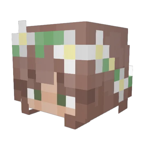 BoldStarfish897 Minecraft avatar head, 3D render