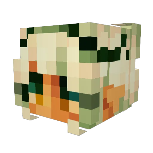 Bold_Birdbrain Minecraft avatar head, 3D render