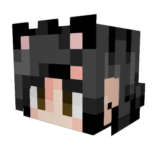 Bolei_cha Minecraft avatar head, 3D render