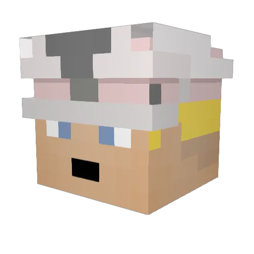 Bolevann Minecraft avatar head, 3D render