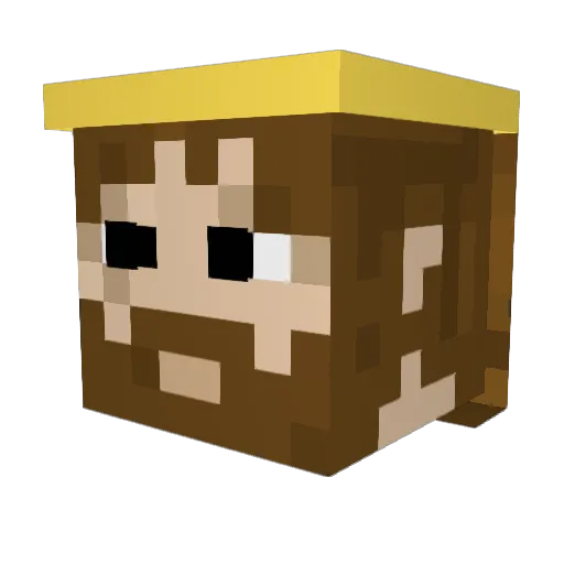 Bolinaaaaaa Minecraft avatar head, 3D render