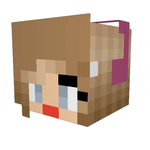 Bollo12 Minecraft avatar head, 3D render