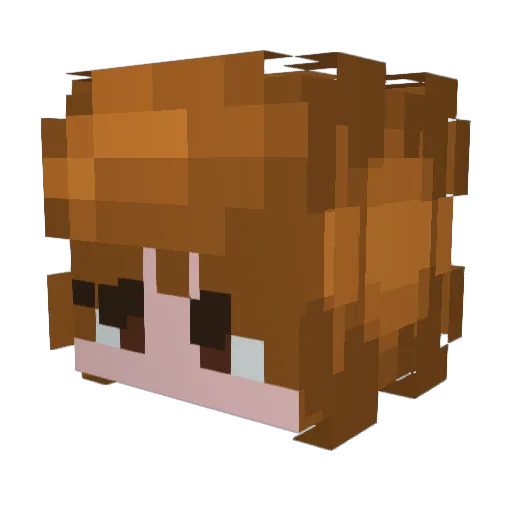 Bollyboi Minecraft avatar head, 3D render
