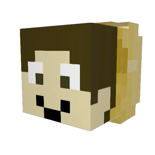 Bolo_DMC Minecraft avatar head, 3D render