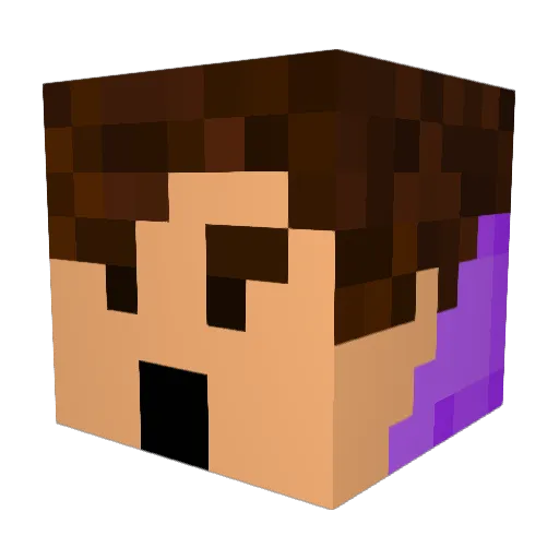 Bologna42 Minecraft avatar head, 3D render