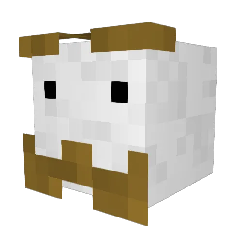 BoltonYale Minecraft avatar head, 3D render
