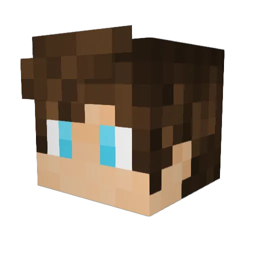 Boltonarrows100 Minecraft avatar head, 3D render
