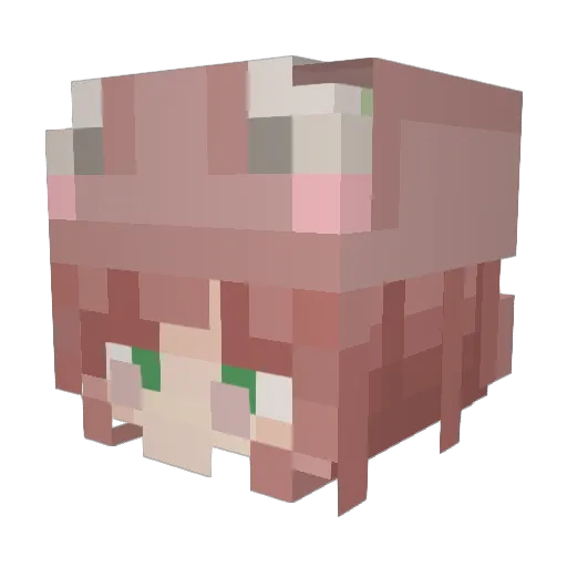 Boltup4420 Minecraft avatar head, 3D render