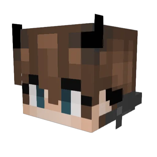 Boltywashere Minecraft avatar head, 3D render