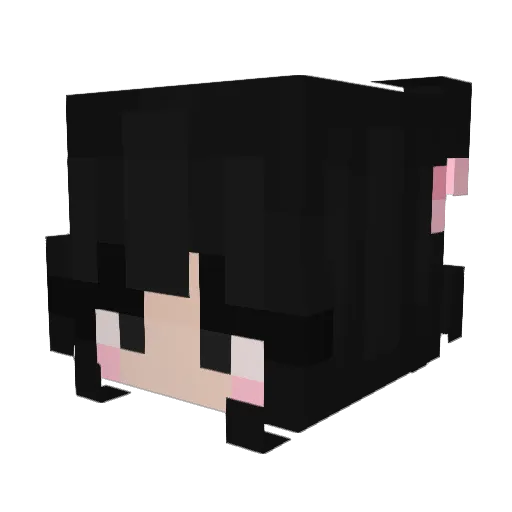 Boludaaaa Minecraft avatar head, 3D render