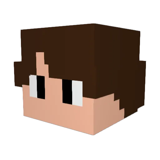 Bomb5843 Minecraft avatar head, 3D render