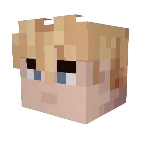 BombaRest Minecraft avatar head, 3D render
