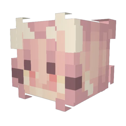 Bombassassin Minecraft avatar head, 3D render