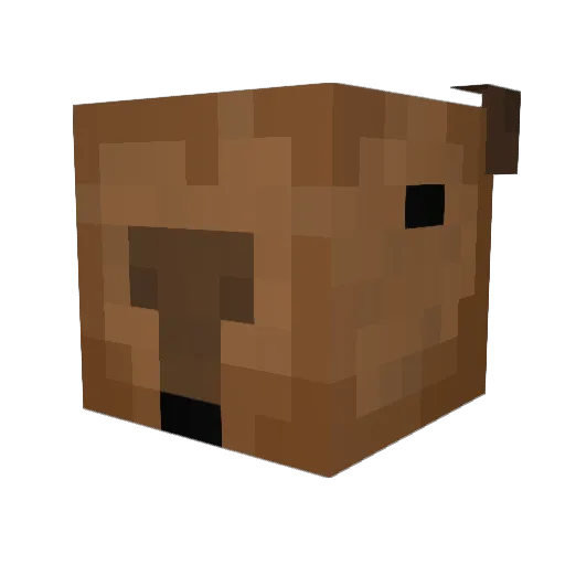 BombasticCapy Minecraft avatar head, 3D render