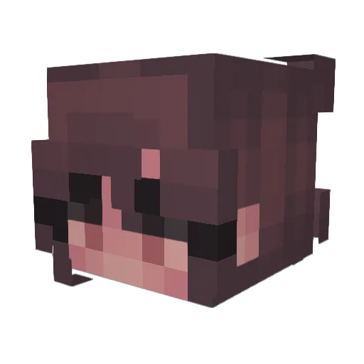 BombasticCoconut Minecraft avatar head, 3D render