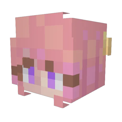 Bombbora Minecraft avatar head, 3D render